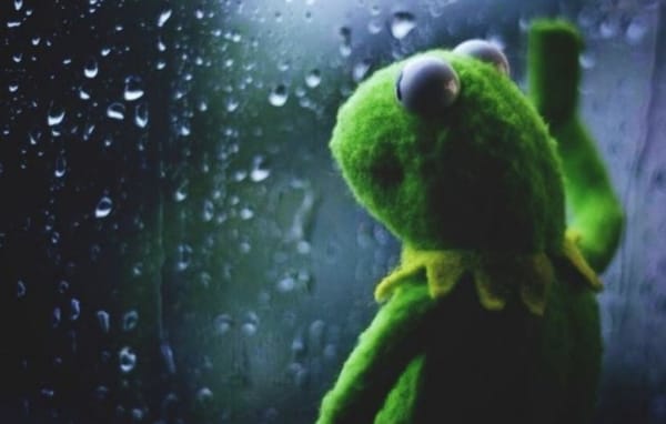 Two Households, Both ARLike in Dignity